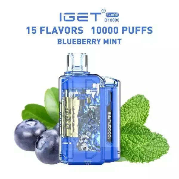 Iget Flare B10000 – Blueberry Mint - Vape Shop Hyderabad