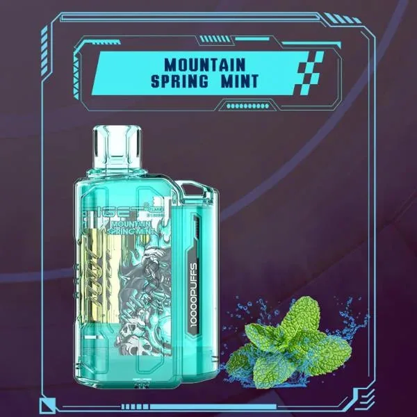 Iget Flare B10000 – Mountain Spring Mint - Vape Shop Hyderabad